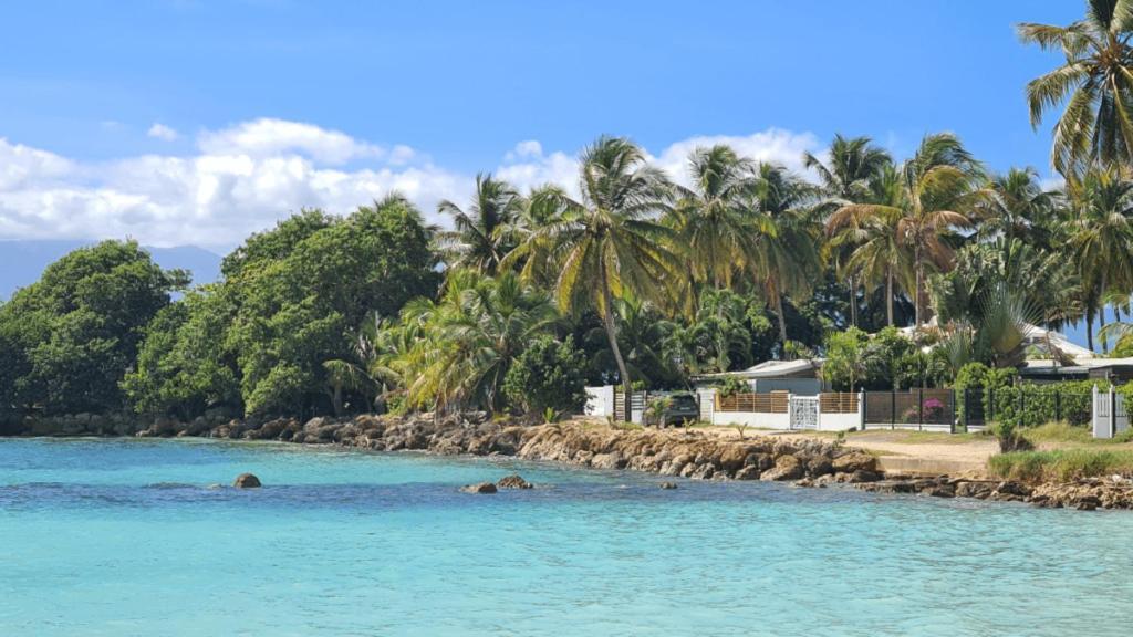 T2 Calme Et Lumineux Au Coeur De Pointe-A-Pitre Apartment Екстериор снимка