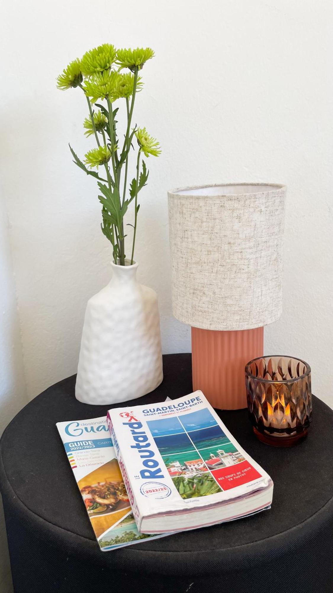 T2 Calme Et Lumineux Au Coeur De Pointe-A-Pitre Apartment Екстериор снимка